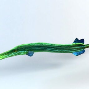 โมเดล 3 มิติของ Trumpetfish Animated & Rig