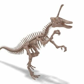 Tsintaosaurus Dinosaur Skeleton 3D-malli