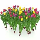 Fleurs de tulipes