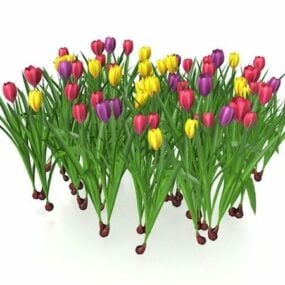 Tulips Flowers 3d model