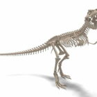 Squelette de dinosaure tyrannosaure