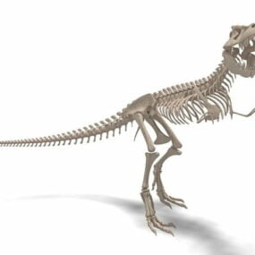 Tyrannosaurus Dinosaur Skeleton 3D-malli