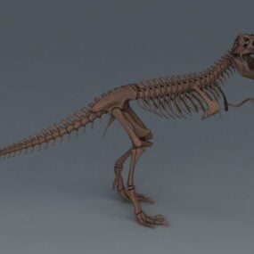 3д модель скелета тираннозавра рекса