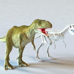 Tyrannosaurus Rex And Skeleton 3d-modell