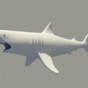 Ugly Shark 3d model