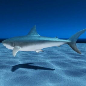 3д модель подводной акулы