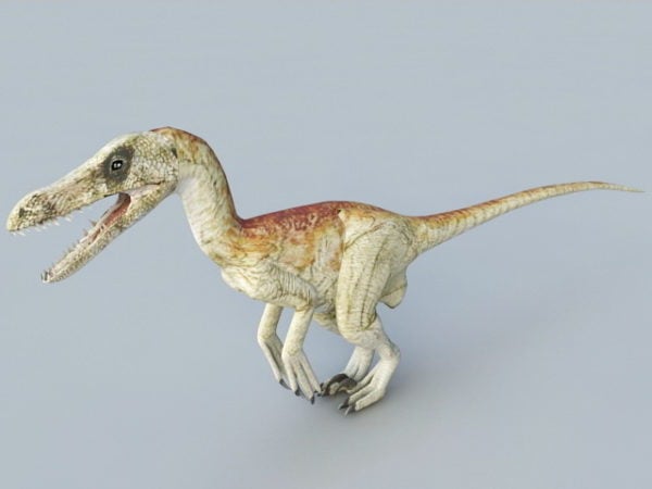 Velociraptor Raptor Dinosaur Free 3d Model Max Obj Vray Open3dmodel 
