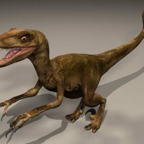 Divoký Trex Dinosaur 3D model