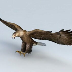 Águila calva animada Rigged modelo 3d