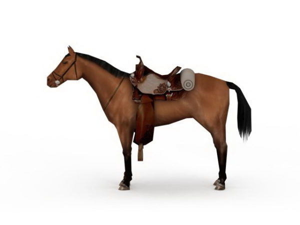 War Horse With Saddle