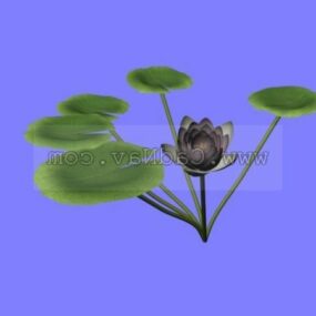 3д модель водяных лилий