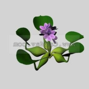 Water Hyacinth Plant 3d model