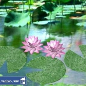 Water Lilly 3d model