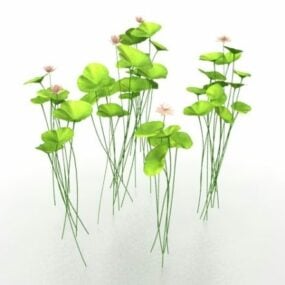 वाटर लिली फूल 3डी मॉडल