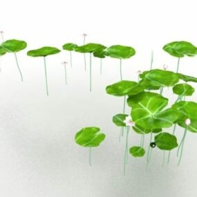 Water Lily Lotus Flower 3d model