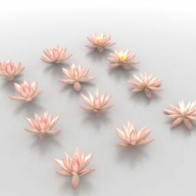 Fleurs de lotus de nénuphar modèle 3D