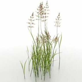 Realistic Yellow Grass Plant 3d model