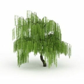 Model 3d Pokok Willow Menangis