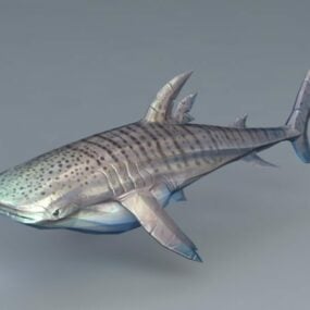 Modello 3d dello squalo balena