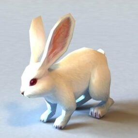 Weißes Kaninchen 3D-Modell
