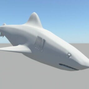 Modello 3d dello squalo bianco