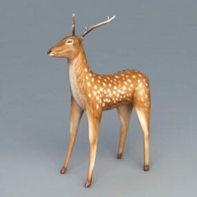 白い斑点のある鹿 3D モデル