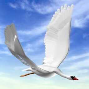 White Swan 3d-model