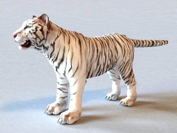 White Tiger Asia