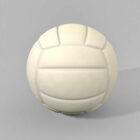 White Volleyball Ball