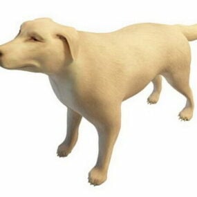 Asia White Dog Animal 3d-model