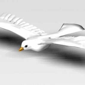白い鳩鳥動物3Dモデル