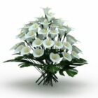 Beyaz Lilium Çiçekleri