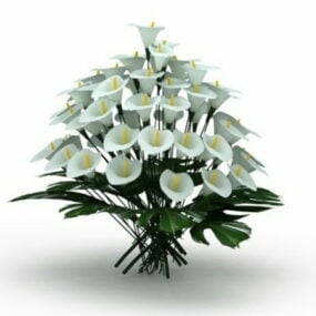 White Lilium Flowers 3d model