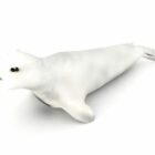 White Seal Animal Animal