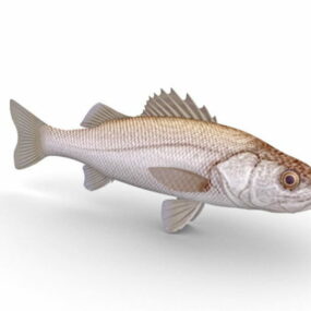 3д модель животного-белая слабая рыба-рыба