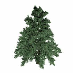 דגם 3D Whitebark Pine