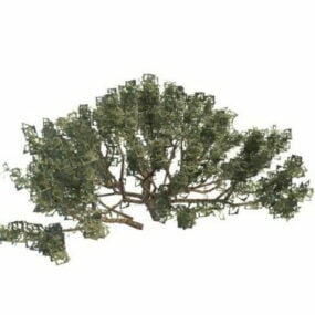 野生灌木植物3d模型