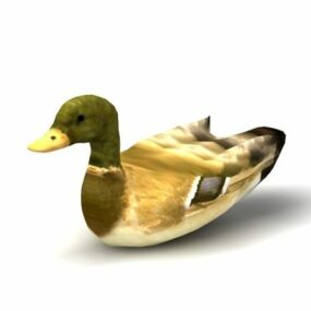 Model 3D zwierzęcia dzikiej kaczki