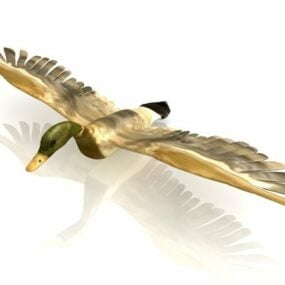 Zvířecí divoká kachna létající 3D model
