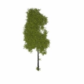 Wild Plant Tree 3d model