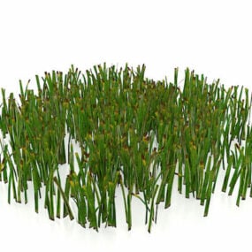 Phong cảnh cỏ với mô hình 3d bầu trời