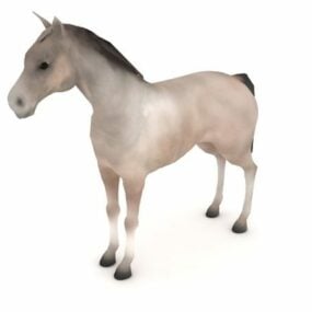 Windsorský 3D model zvířete šedého koně