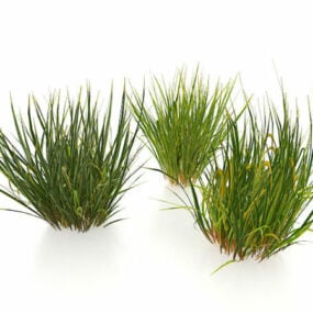 Winter Grasses 3d model