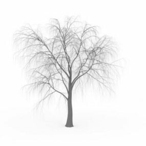 Winter Tree 3d model