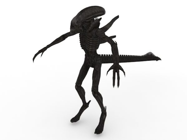 Alien Xenomorph 3d Model