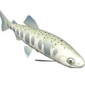Yamame Trout Fish Animal דגם תלת מימד