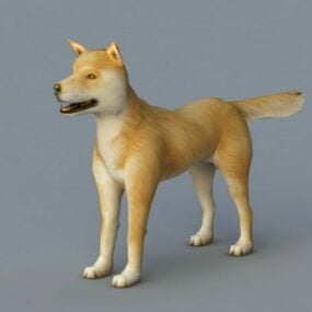 Gul hund Rigged 3D-modell