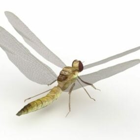 Modelo 3d de libélula amarilla