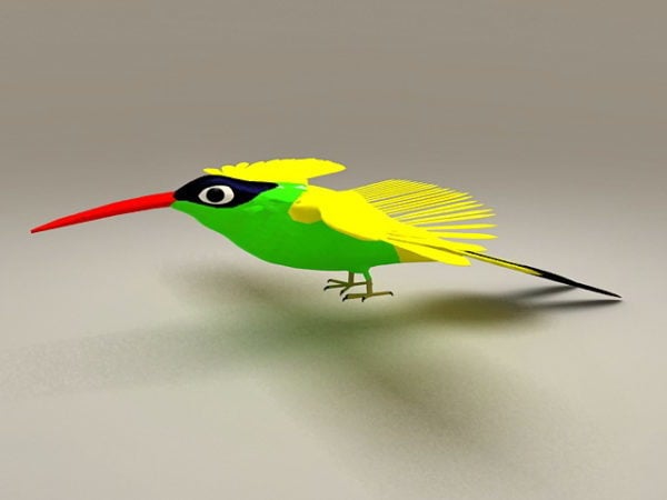 Žlutý kolibřík zvíře
