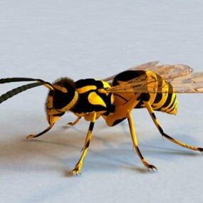 Mô hình 3d Wasp áo khoác màu vàng